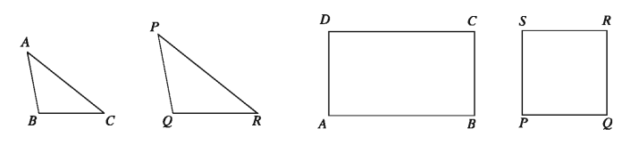 Similarity of Mathematics